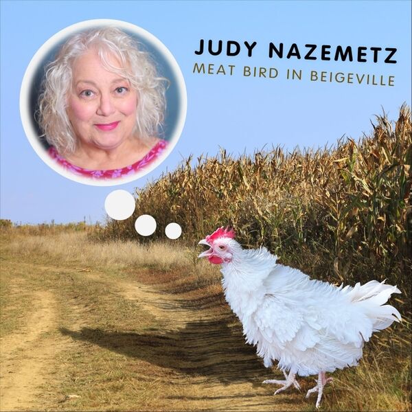 Cover art for Meat Bird in Beigeville